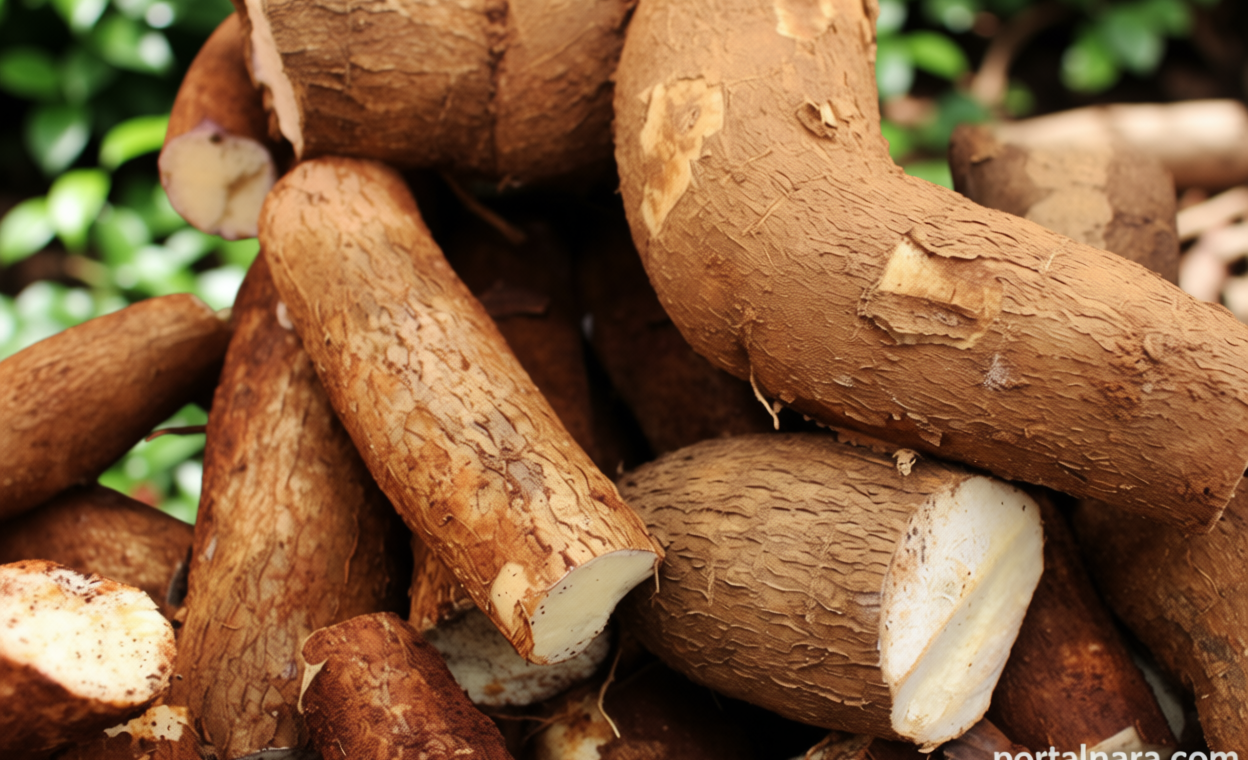 7 Cara Merebus Singkong biar Empuk dan Merekah Cantik