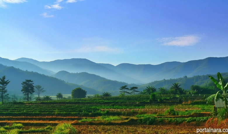 Visit Agenda: Panduan Mendaki Gunung Muria dengan Aman, Catat!