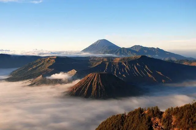 Important Visit: [QUIZ] Pilih Makanan Khas Jatim Favoritmu, Destinasi Wisata Ini Cocok untukmu!