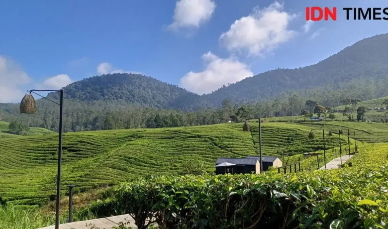 Important Visit: 7 Wisata Sejuk di Jawa Barat dengan Panorama Alam Memanjakan Mata