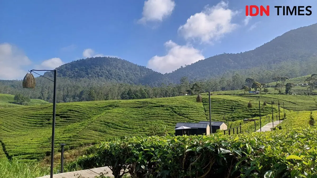 Important Visit: 7 Wisata Sejuk di Jawa Barat dengan Panorama Alam Memanjakan Mata