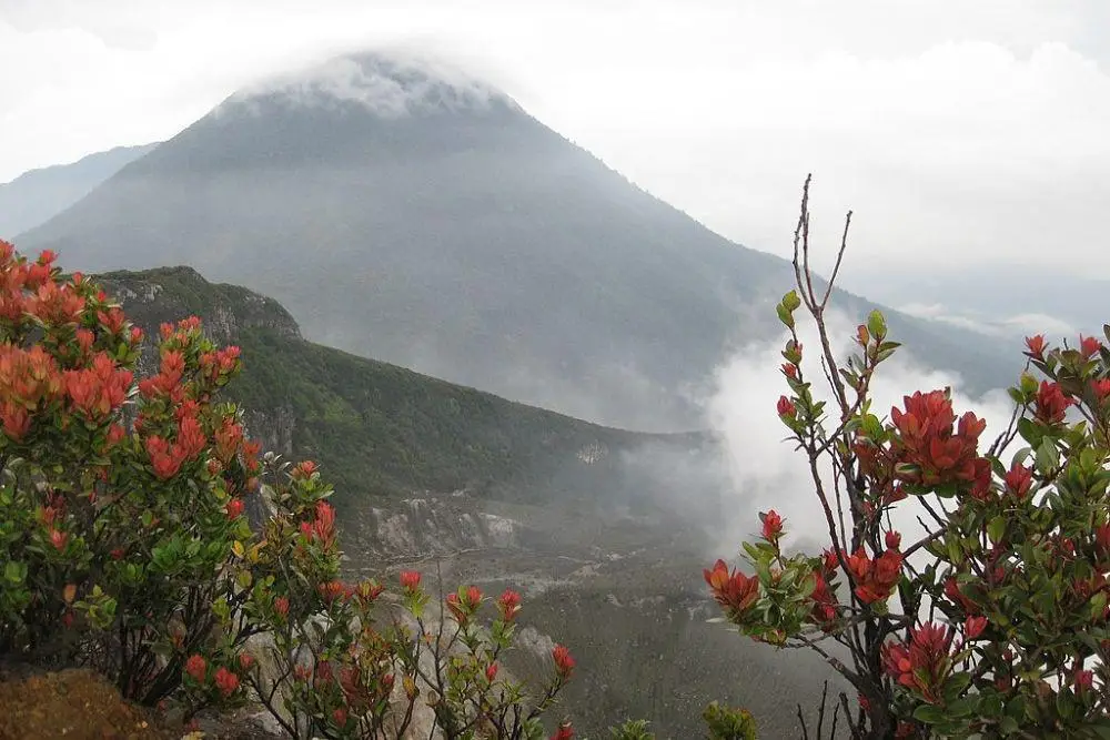 1024px-gunung-pangrango-terlihat-dari-puncak-gunung-gede-di-taman-nasional-gunung-gede-pangrango-b868265d3a43a6cc46c4ac7a52c7b8b9