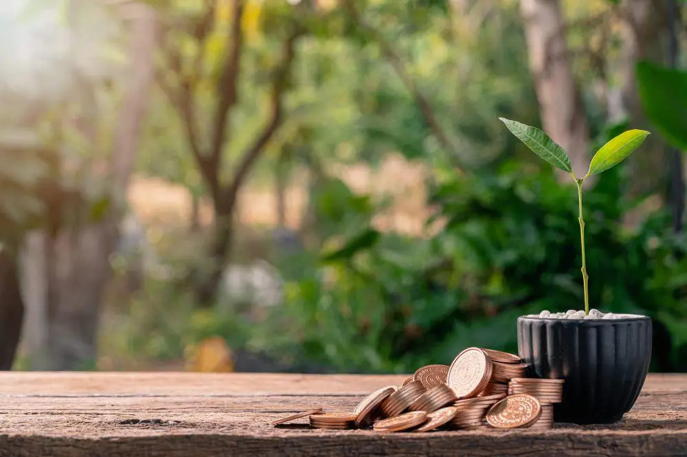 1920-stacks-of-coins-next-to-a-potted-plant-on-a-wooden-table-1-9cb44bd021cffe8c51184fa88f440511-37453a1790cdb49a219070dd1843c567