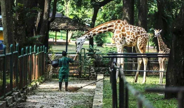 20 Tempat Wisata Anak di Jakarta Paling Seru dan Menyenangkan