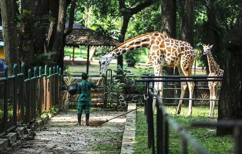 20 Tempat Wisata Anak di Jakarta Paling Seru dan Menyenangkan