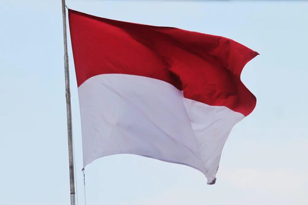 flag-857988-1280-c05da5ed068e33d4cd830d385e226024-3f8026c5c1fde0ba7b8233f81b17405d