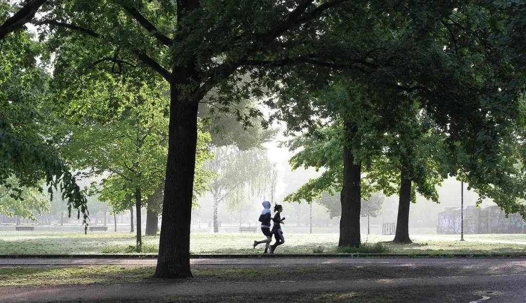 jogging-4211946_1280_c5653163-72ce-4a78-893a-e410570b5856