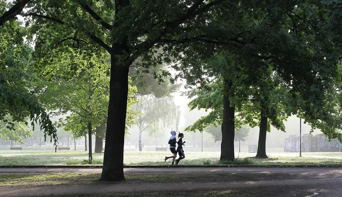 jogging-4211946_1280_c5653163-72ce-4a78-893a-e410570b5856