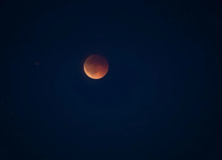 1000290989_32f96089-5bcc-45a9-8ad5-11d4ca25e980