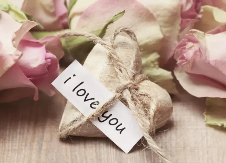 roses-2840743-1920-6c73b2f79b9f059dd85b5749830c57c5-1857b1f4cb0747c6cd018441e11122ab
