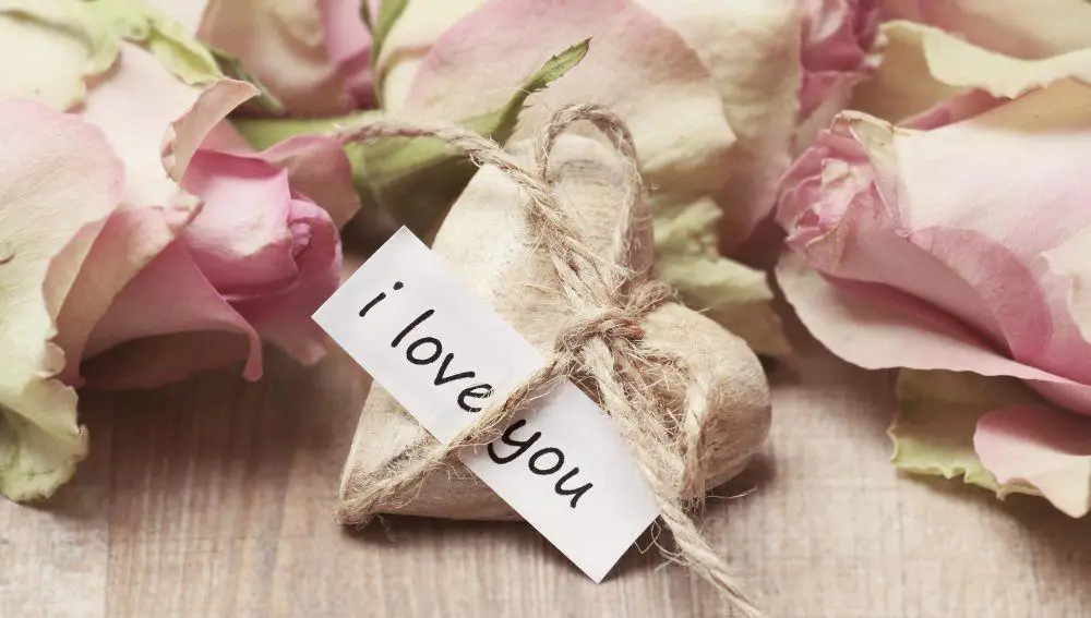roses-2840743-1920-6c73b2f79b9f059dd85b5749830c57c5-1857b1f4cb0747c6cd018441e11122ab