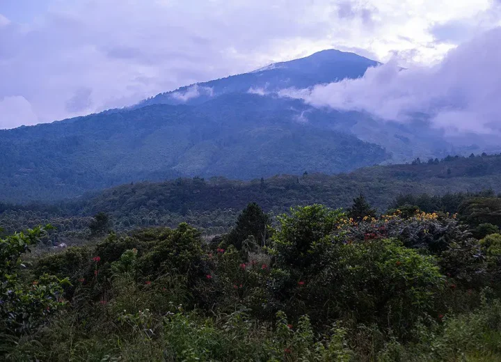 taman_nasional_gunung_ciremai_jawa_barat_6ca2d14e-40b9-40a7-b0a5-adfa376db7fd