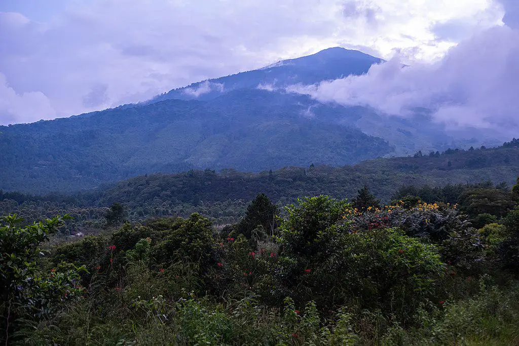 taman_nasional_gunung_ciremai_jawa_barat_6ca2d14e-40b9-40a7-b0a5-adfa376db7fd